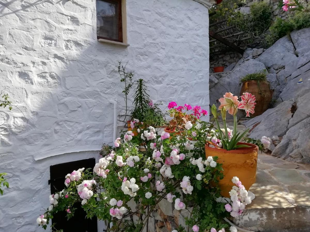 Villa Arbeli House Mandraki  Exterior foto